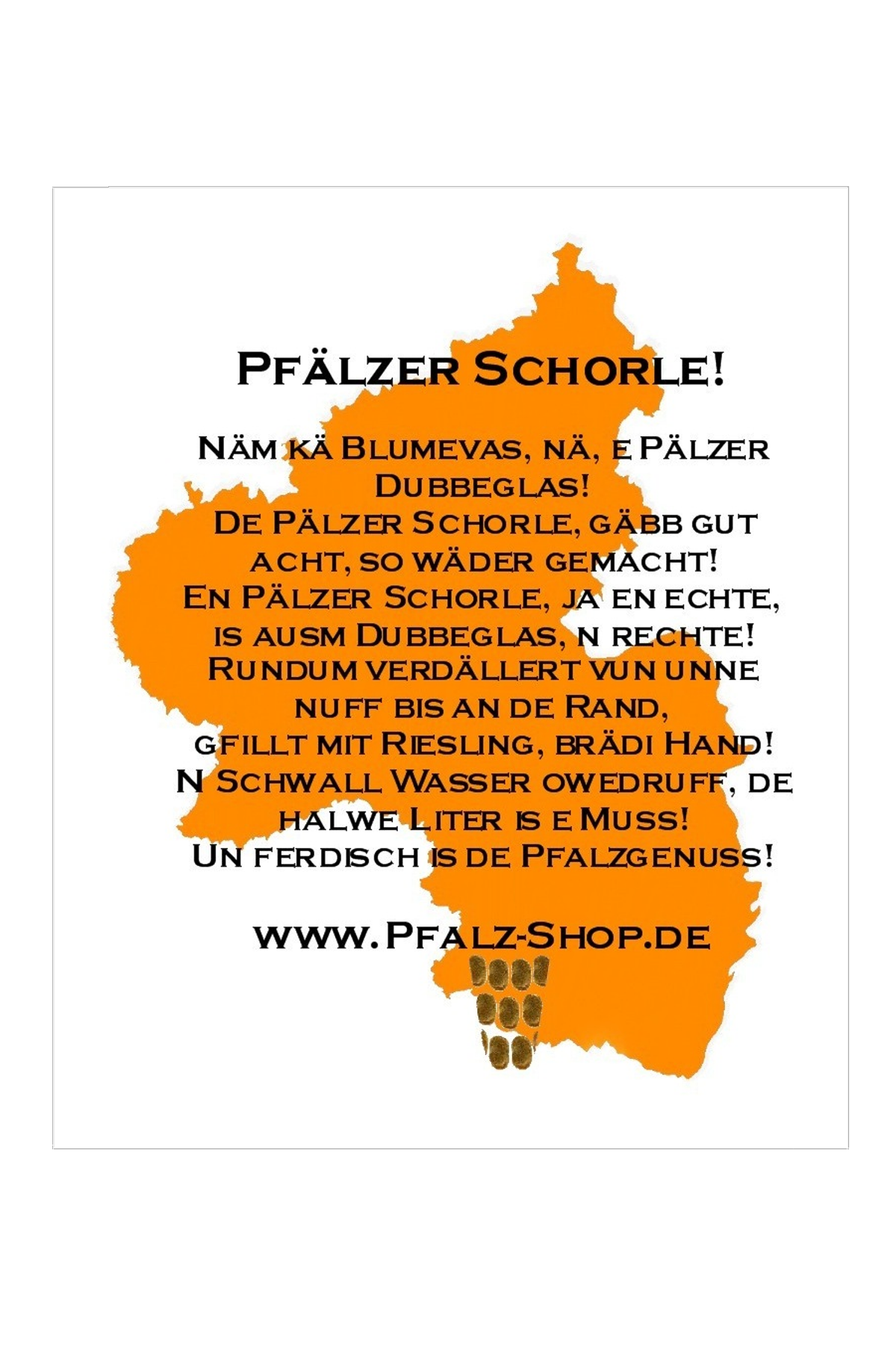 Aluschild Pfälzer Schorleanleitung 30x40cm