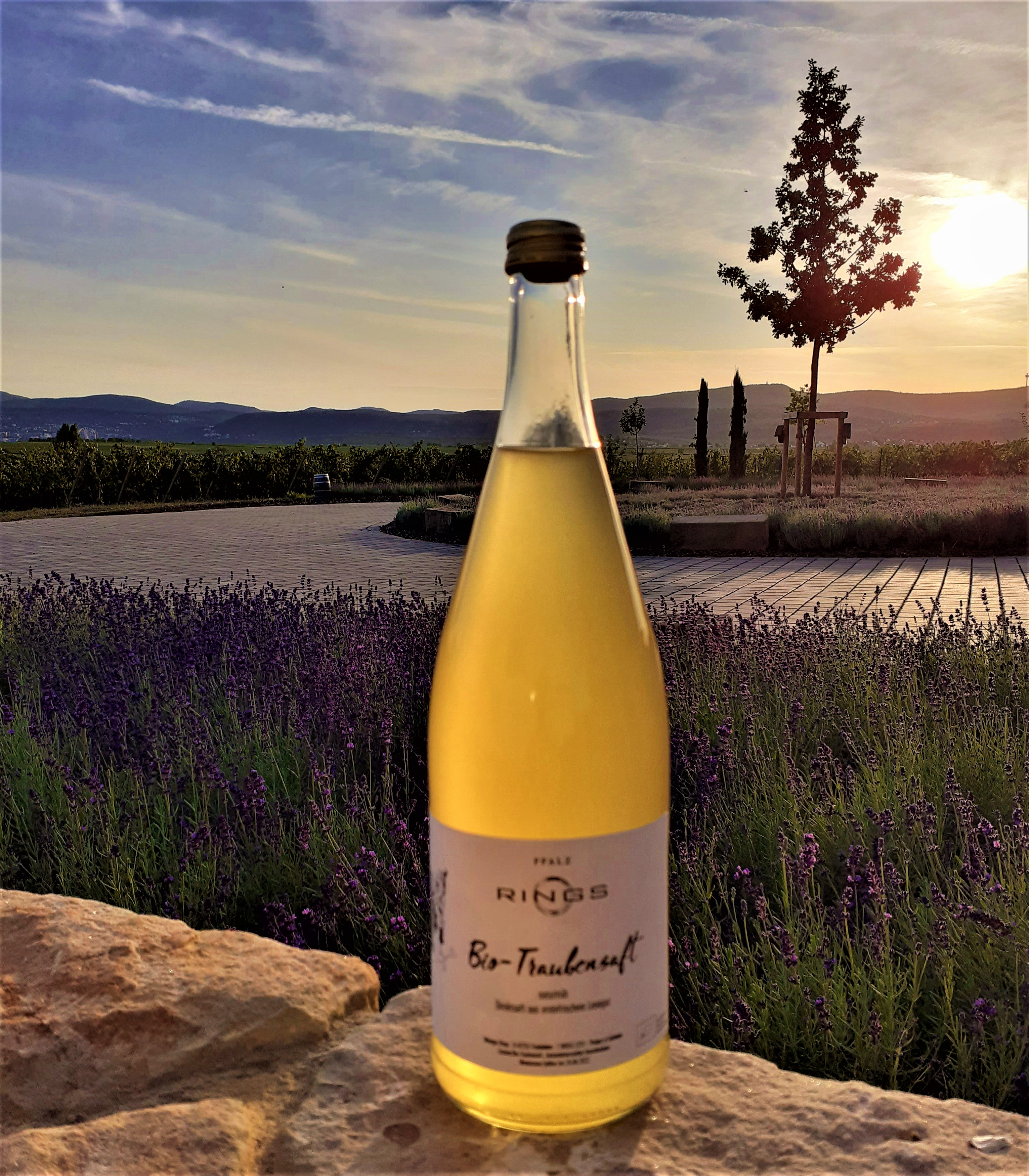 Traubensaft vom Weingut Rings - naturtrüb