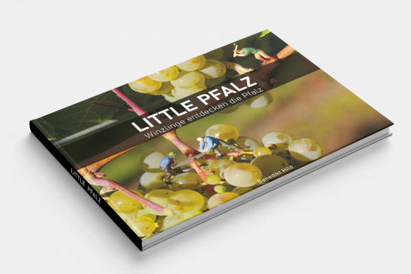 Little Pfalz Buch