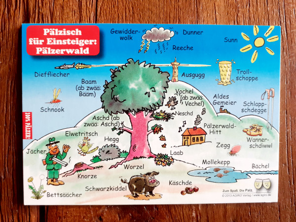 Postkarte Pfälzisch für Einsteiger Pälzerwald